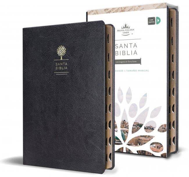 Biblia Reina Valera 1960 letra grande | 9781644732168 | AA.VV.