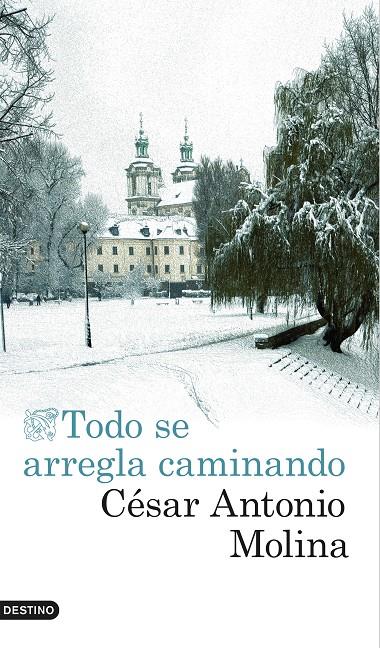 Todo se arregla caminando | 9788423350797 | Molina, César Antonio