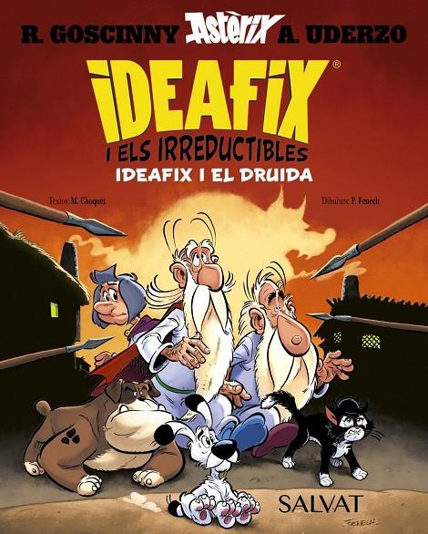 Ideafix i els irreductibles 5 : Ideafix i el druida | 9788469643426 | Goscinny, René / Choquet, Matthieu