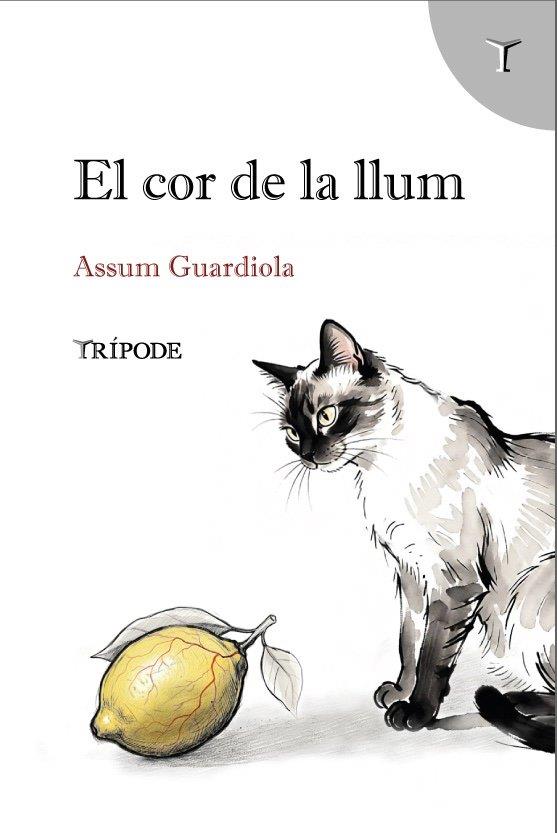 Cor de la llum, El | 9791399090376 | Guardiola, Assum