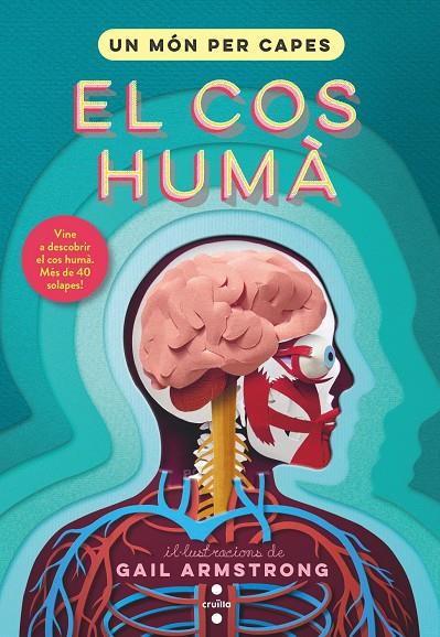 Món per capes, Un : El cos humà | 9788466153904 | Symons, Ruth