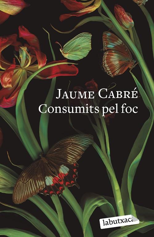 Consumits pel foc | 9788419107206 | Cabré, Jaume