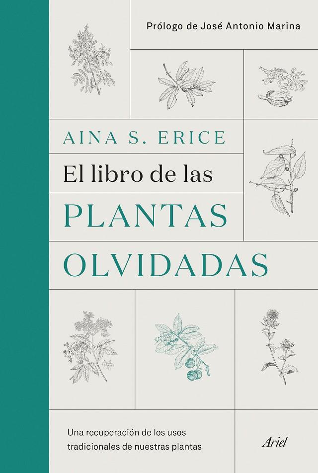 Libro de las plantas olvidadas, El | 9788434431461 | Erice, Aina S.