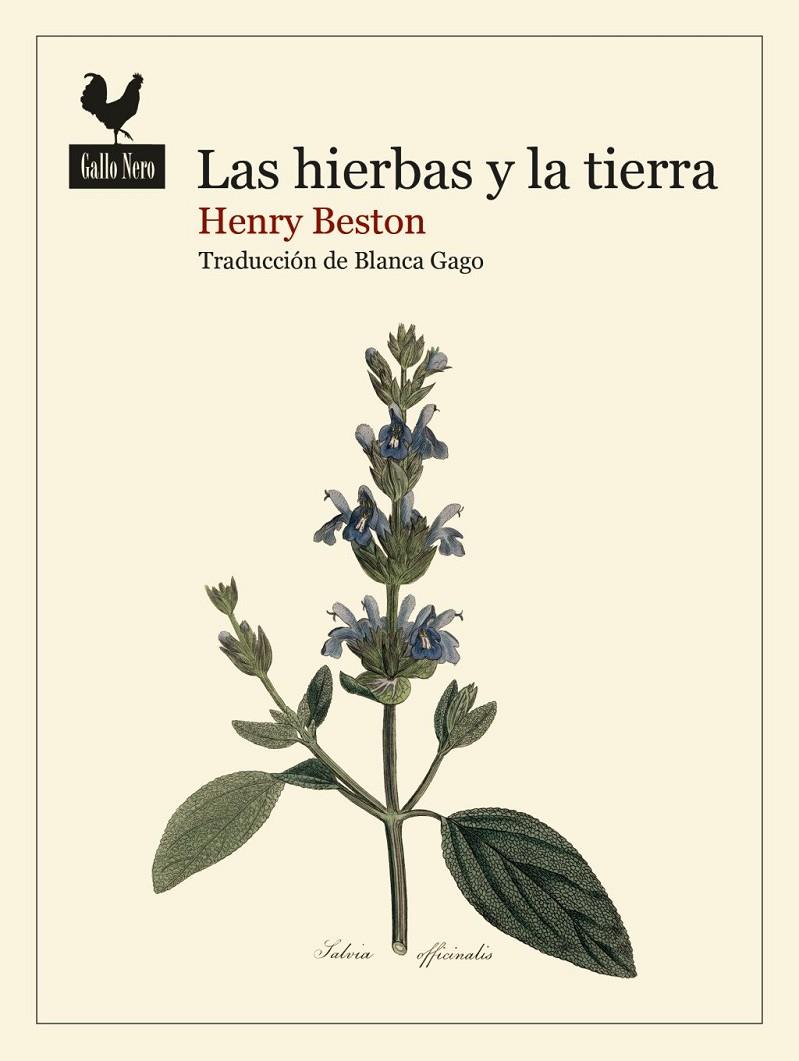 Hierbas y la tierra, Las | 9788419168740 | Beston, Henry