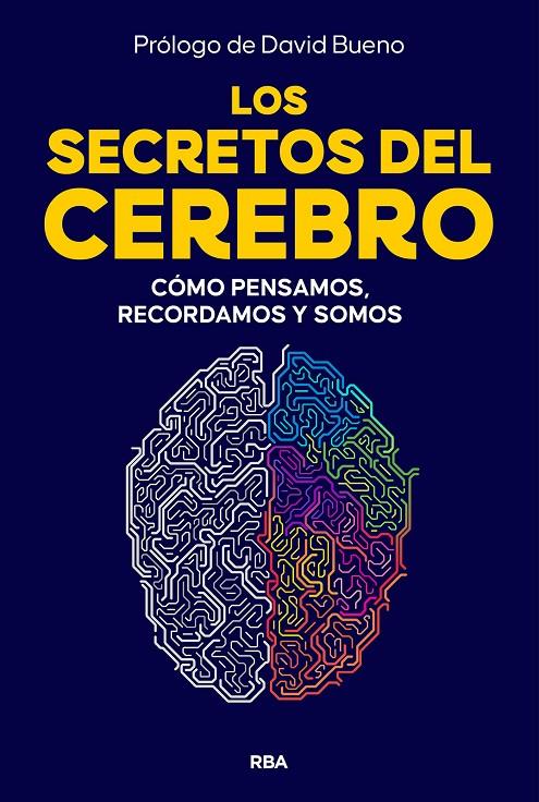 Secretos del cerebro, Los | 9788410981249 | Buenos, David
