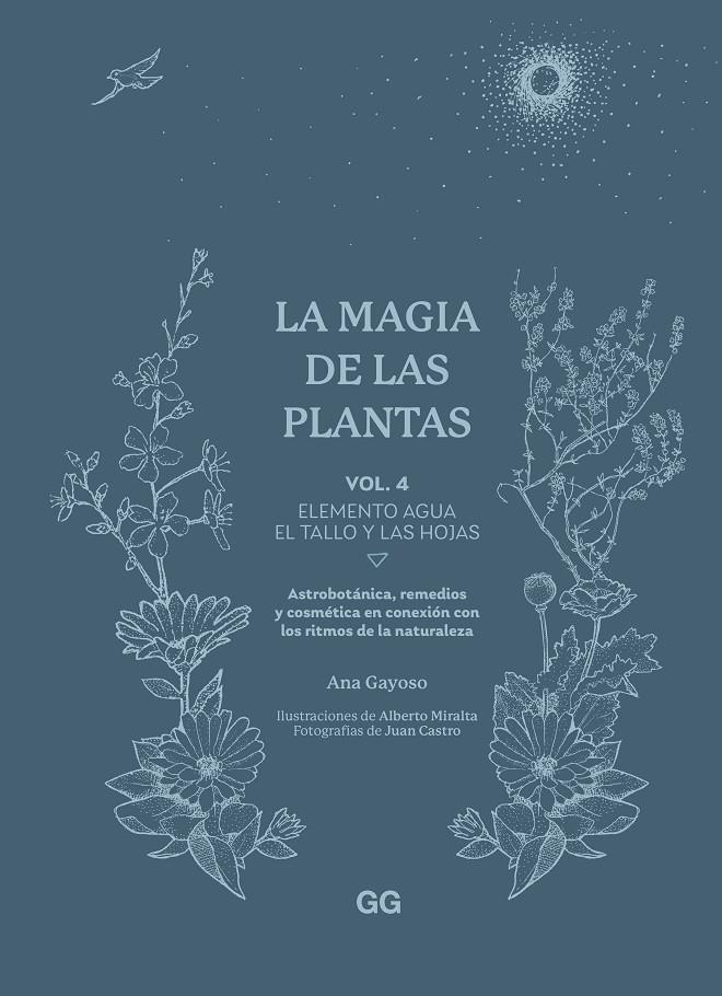 Magia de las plantas 4, La : Elemento Agua : El tallo y las hojas | 9788425235641 | Gayoso, Ana