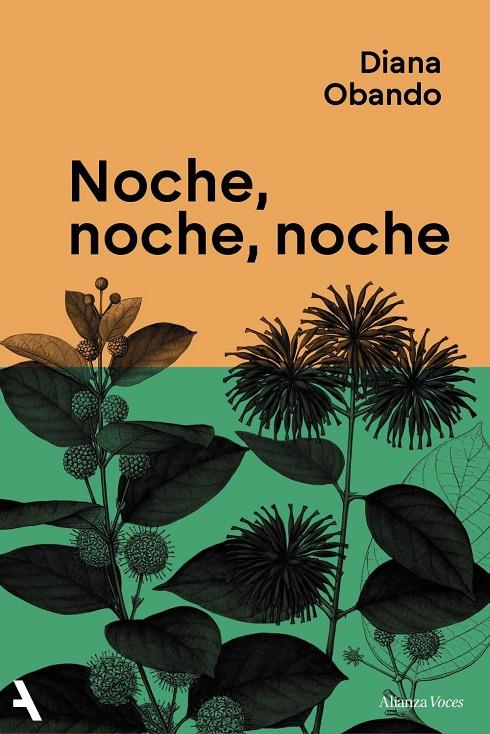 Noche, noche, noche | 9791370093235 | Obando, Diana