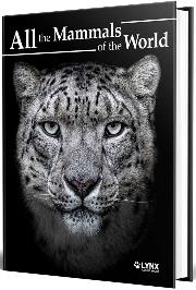 All the Mammals of the World | 9788416728664 | AA.DD.