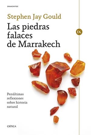 Piedras falaces de Marrakech, Las | 9788491995180 | Gould, Stephen Jay