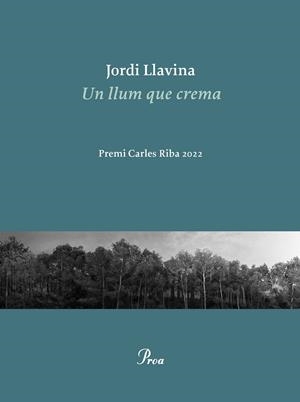 Llum que crema, Un | 9788475889979 | Llavina, Jordi
