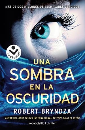 Serie Erika Foster 2 : Una sombra en la oscuridad | 9788416240845 | Bryndza, Robert