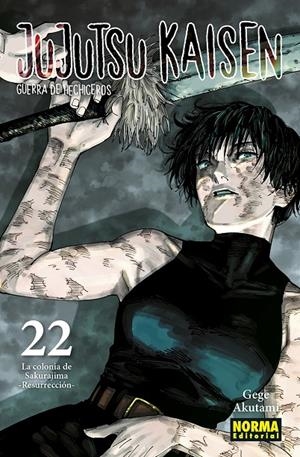 Jujutsu Kaisen 22 | 9788467962000 | Akutami, Gege