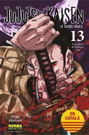 Jujutsu Kaisen 13 (Català) | 9788467957679 | Akutami, Gege