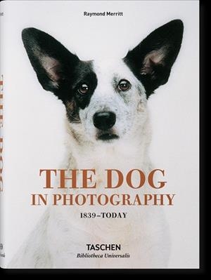 Dog in Photography 1839–Today, The | 9783836567473 | Merritt, Raymond
