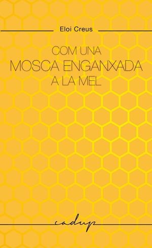 Com una mosca enganxada a la mel | 9788412791129 | Creus Sabater, Eloi