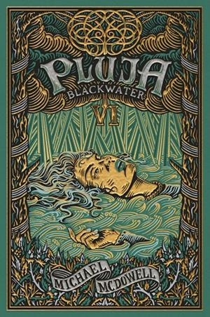 Blackwater VI : Pluja | 9788419654755 | McDowell, Michael