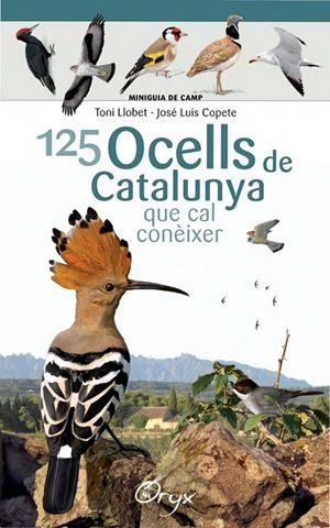 125 ocells de Catalunya que cal conèixer | 9788490346747 | Llobet François, Toni / Copete, José Luis