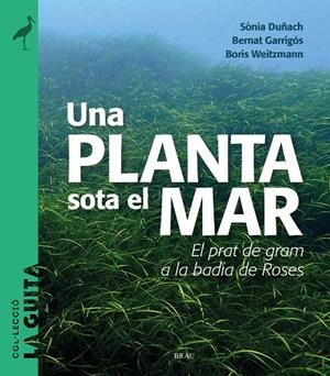 Planta sota el mar, Una | 9788418096747 | Duñach, Sònia / Garrigós, Bernat / Weitzmann, Boris