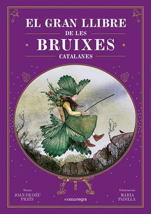 Gran llibre de les bruixes catalanes, El | 9788410161337 | Prats, Joan de Déu / Padilla, Maria