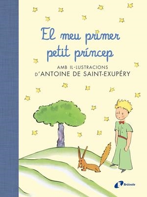 Meu primer petit príncep, El | 9788499067704 | Saint-Exupéry, Antoine de