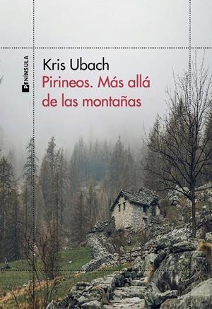 Pirineos : Más allá de las montañas | 9788411001816 | Ubach, Kris