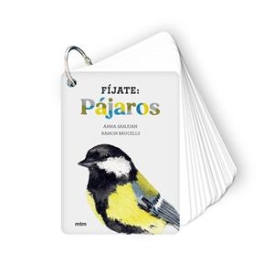 Fíjate : Pájaros | 9788417165819 | Sanjuan Llorens, Anna