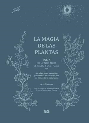 Magia de las plantas 4, La : Elemento Agua : El tallo y las hojas | 9788425235641 | Gayoso, Ana