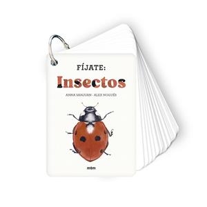 Fíjate : Insectos | 9788410407183 | Sanjuan Llorens, Anna / Nogués, Alex