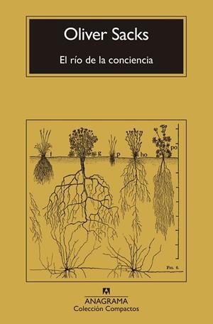 Río de la conciencia, El | 9788433946867 | Sacks, Oliver
