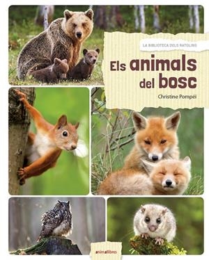 Animals del bosc, Els | 9788417599027 | Romatif, Alexia