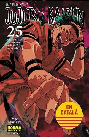 Jujutsu Kaisen 25 (català) | 9788467969979 | Akutami, Gege