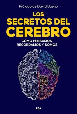 Secretos del cerebro, Los | 9788410981249 | Buenos, David