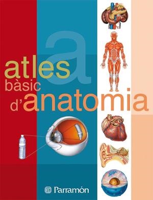 Atles bàsic d'Anatomia | 9788434223134 | Cassan, Adolfo / Muñoz Tenllado, Antonio