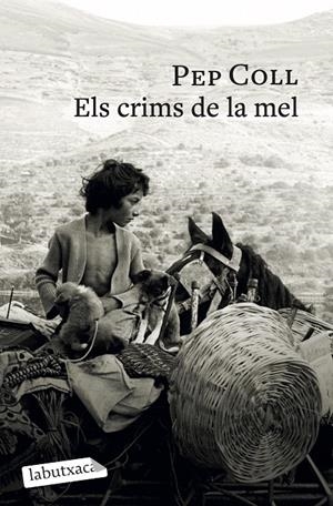 Crims de la mel, Els | 9791387802196 | Coll, Pep