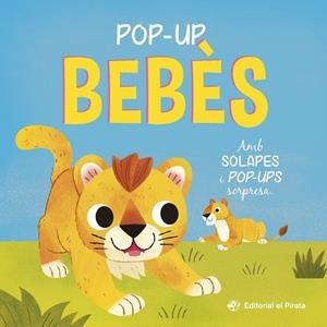 Pop-up Bebès | 9788419912527 | Blake, Clark