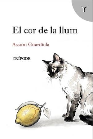Cor de la llum, El | 9791399090376 | Guardiola, Assum