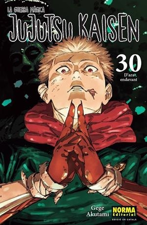 Jujutsu Kaisen 30 (Edició en català) | 9788467976281 | Akutami, Gege