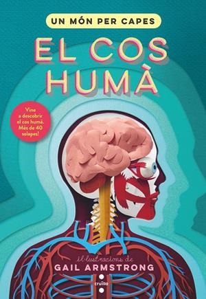 Món per capes, Un : El cos humà | 9788466153904 | Symons, Ruth