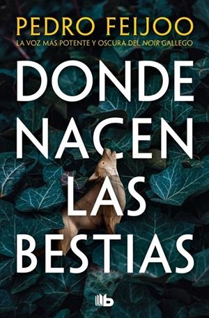 Donde nacen las bestias | 9791387652357 | Feijoo, Pedro