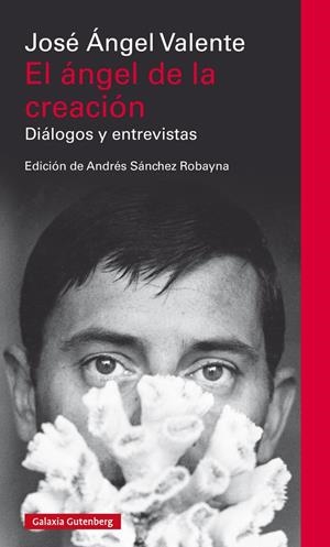 Ángel de la creación, El | 9788417355708 | Valente, José Ángel