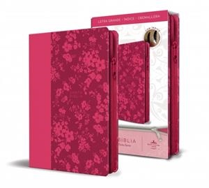 Biblia Reina Valera 1960 letra grande (Símil fucsia) | 9781644733851 | AA.VV.