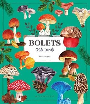 Bolets : Vida secreta | 9788410417687 | Ortega, Rena