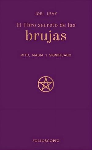Libro secreto de las brujas, El | 9788410380233 | Levy, Joel