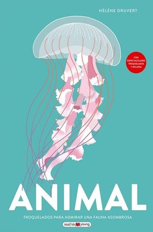 Animal | 9791387664763 | Druvert, Helene