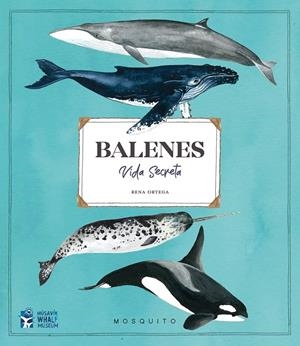 Balenes : Vida secreta | 9788412247954 | Ortega, Rena