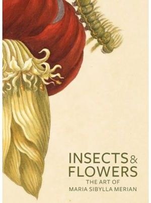 Insects and Flowers : The Art of Maria Sibylla Merian | 9780892369294 | Merian, Maria Sibylla