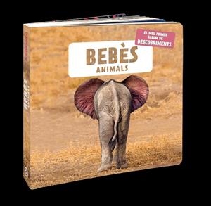Bebès animals | 9788418762109 | AA.DD.