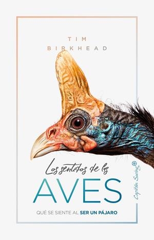 Sentidos de las aves, Los | 9788412064506 | Birkhead, Tim
