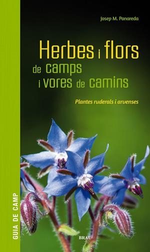 Herbes i flors de camps i vores de camins | 9788418096082 | Panareda Clopés, Josep M